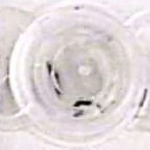  ( - UOG-debu00233788-23)  @11 [ ] Unspecified (default): All Rights Reserved  Unspecified Unspecified