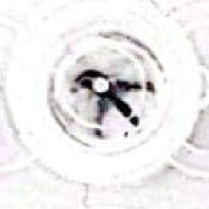  ( - UOG-debu01116873-03)  @11 [ ] Unspecified (default): All Rights Reserved  Unspecified Unspecified