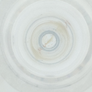  ( - YARN_002_D6)  @11 [ ] by (2004) Genome Research Ltd as Wellcome Sanger Institute Genome Research Limited operating as Wellcome Sanger Institute