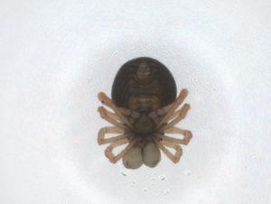  ( - CBG-A11458-D02)  @11 [ ] CreativeCommons - Attribution Share - Alike (2023) Centre for Biodiversity Genomics Centre for Biodiversity Genomics