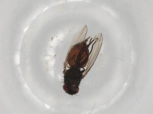  ( - BIOUG66027-D09)  @11 [ ] CreativeCommons - Attribution (2021) Centre for Biodiversity Genomics Centre for Biodiversity Genomics