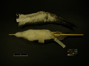  ( - 2001-0070)  @12 [ ] Copyright (2013) Takema  Saitoh Yamashina Institute for Ornithology