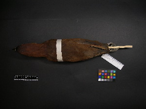  ( - 2005-0531)  @12 [ ] Copyright (2013) Takema  Saitoh Yamashina Institute for Ornithology