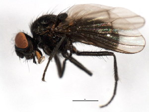  ( - BIOUG01013-H07)  @12 [ ] CreativeCommons - Attribution (2011) CBG Photography Group Centre for Biodiversity Genomics